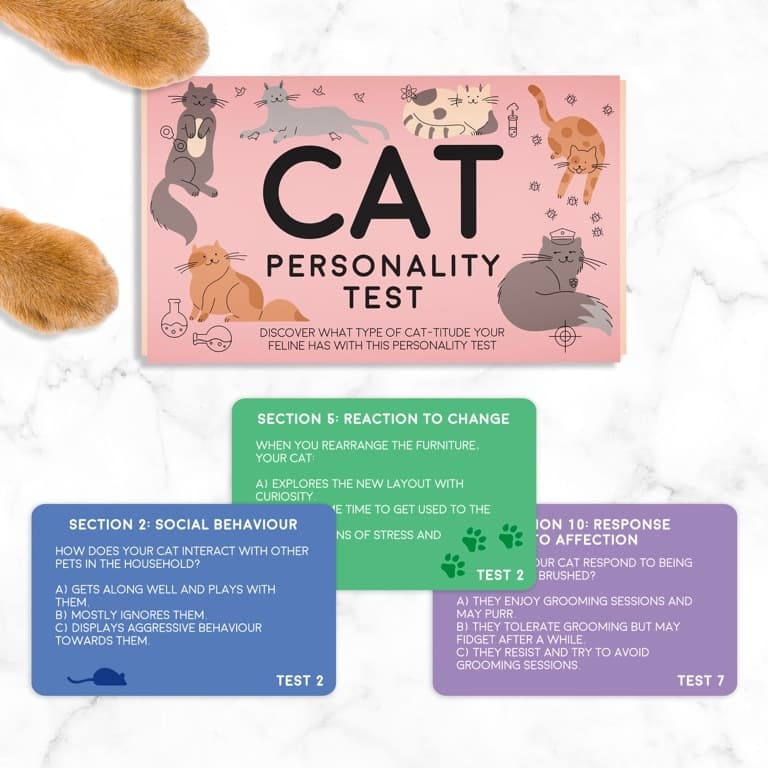 Kat persoonlijkheidstest