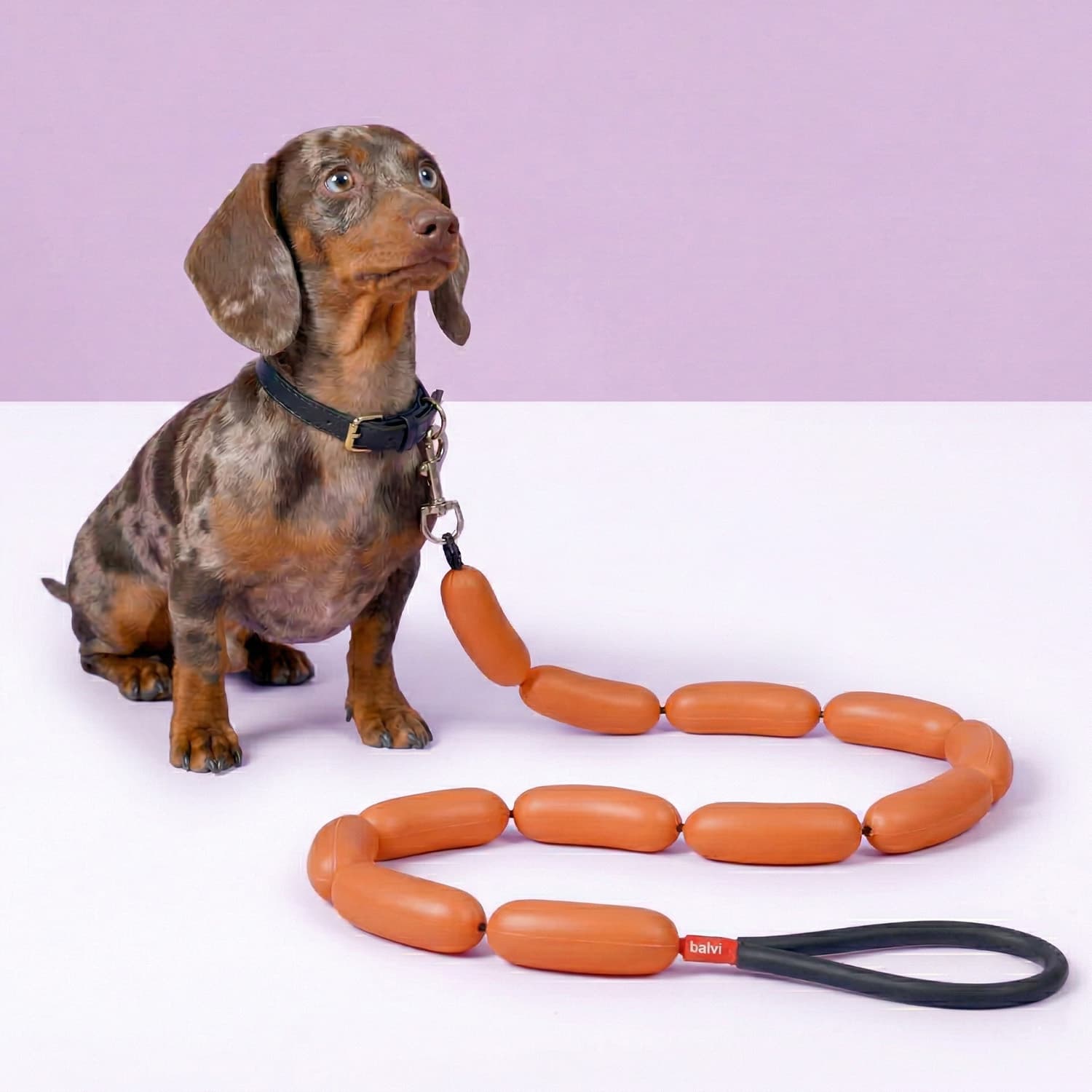Hotdog hondenriem