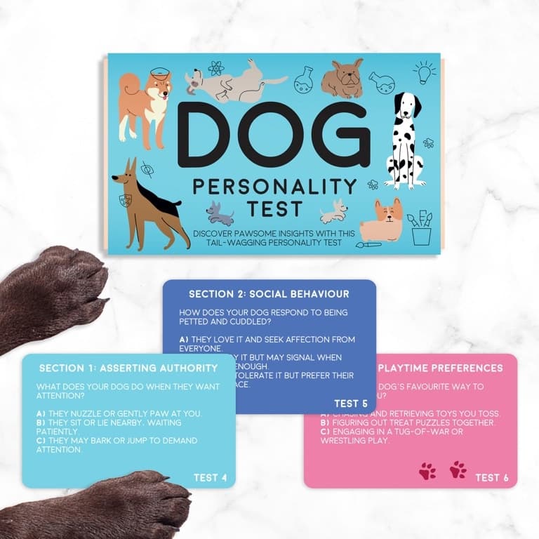 Hond persoonlijkheidstest