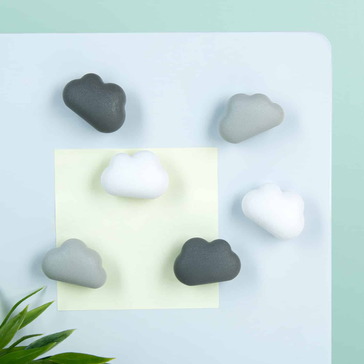 Wolk magneten (set van 6)