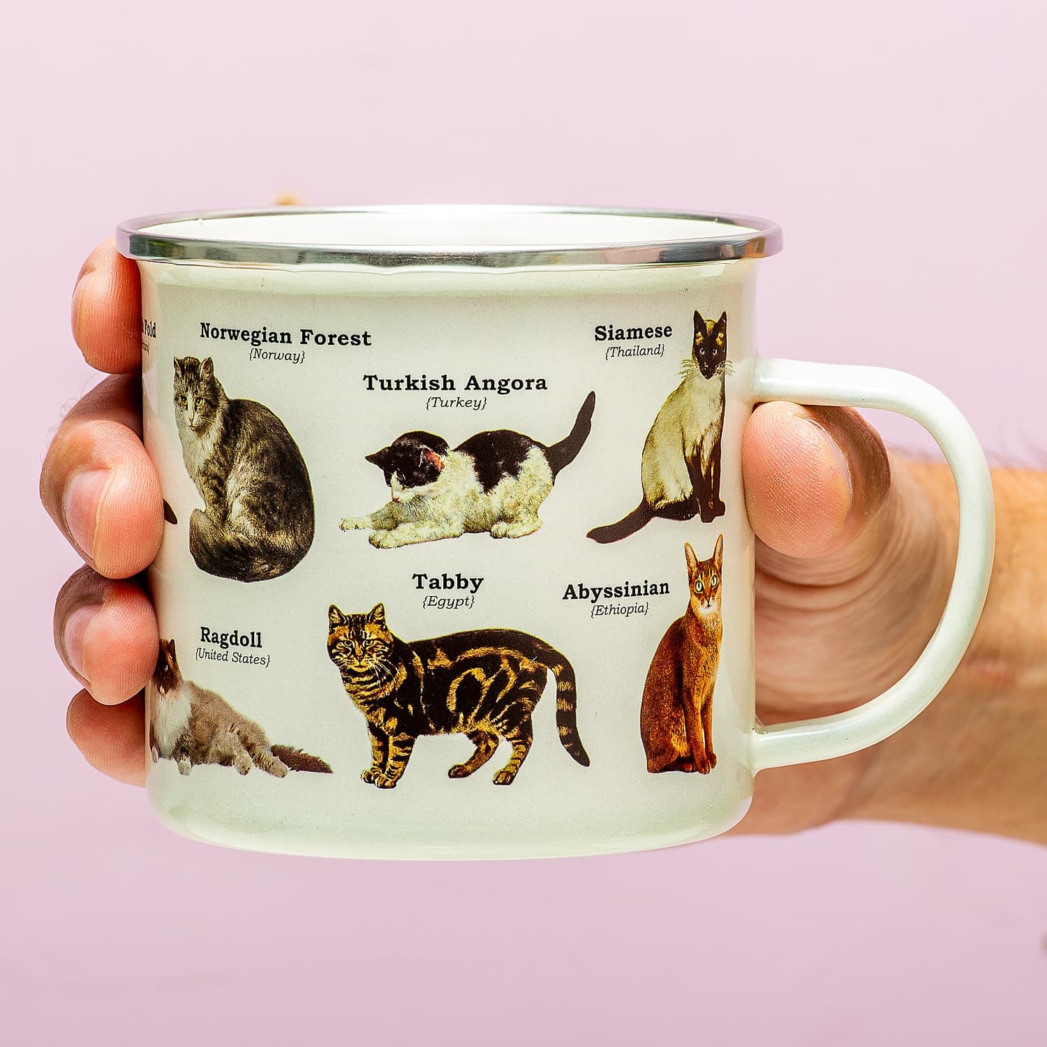 Emaille dierenmok - Katten