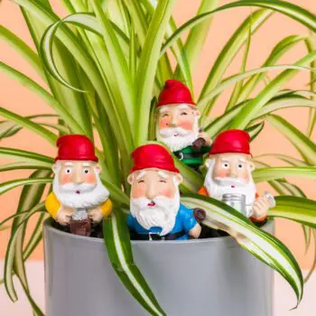 Bloempot kabouters (set van 4)