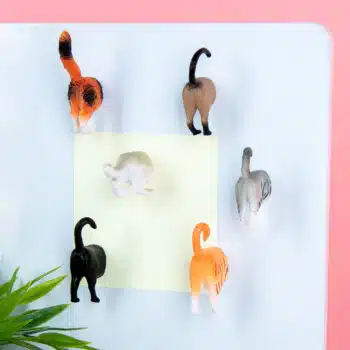 Butt Magneten (Set Van 6) - Katten