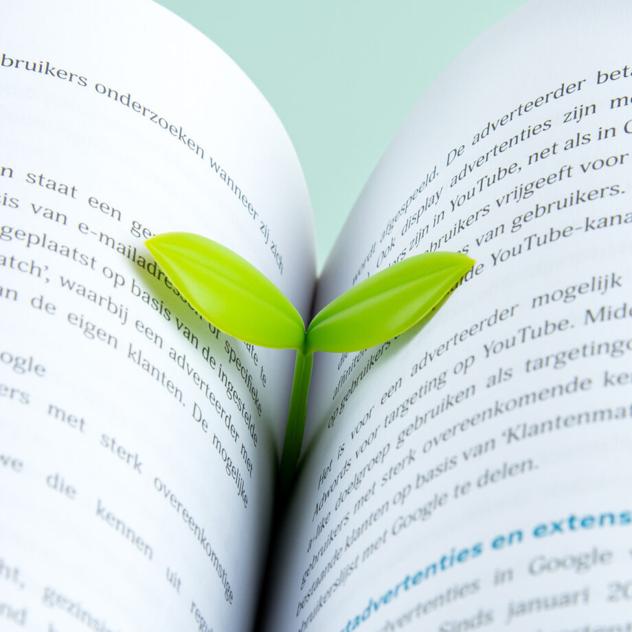Kiemplant boekenlegger (set van 3)