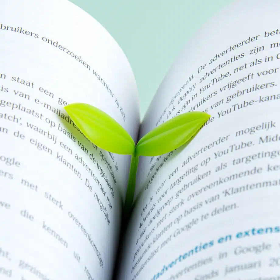 Kiemplant boekenlegger (set van 3)