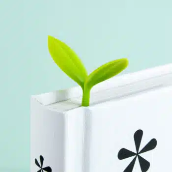 Kiemplant boekenlegger (set van 3)