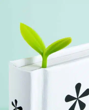 Kiemplant boekenlegger (set van 3)