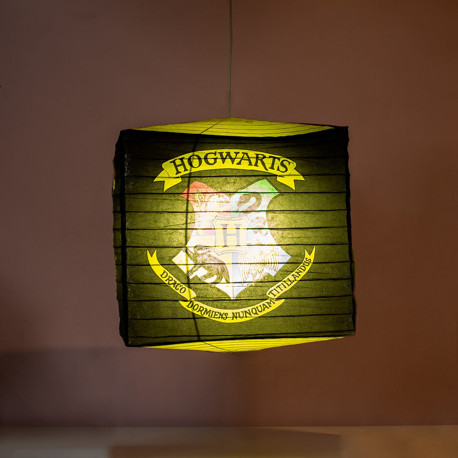 Harry Potter Hogwarts cube lampenkap