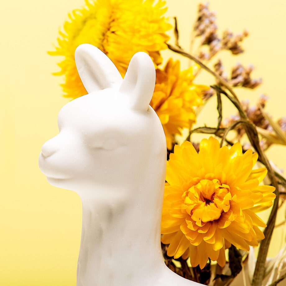 Lama bloempot