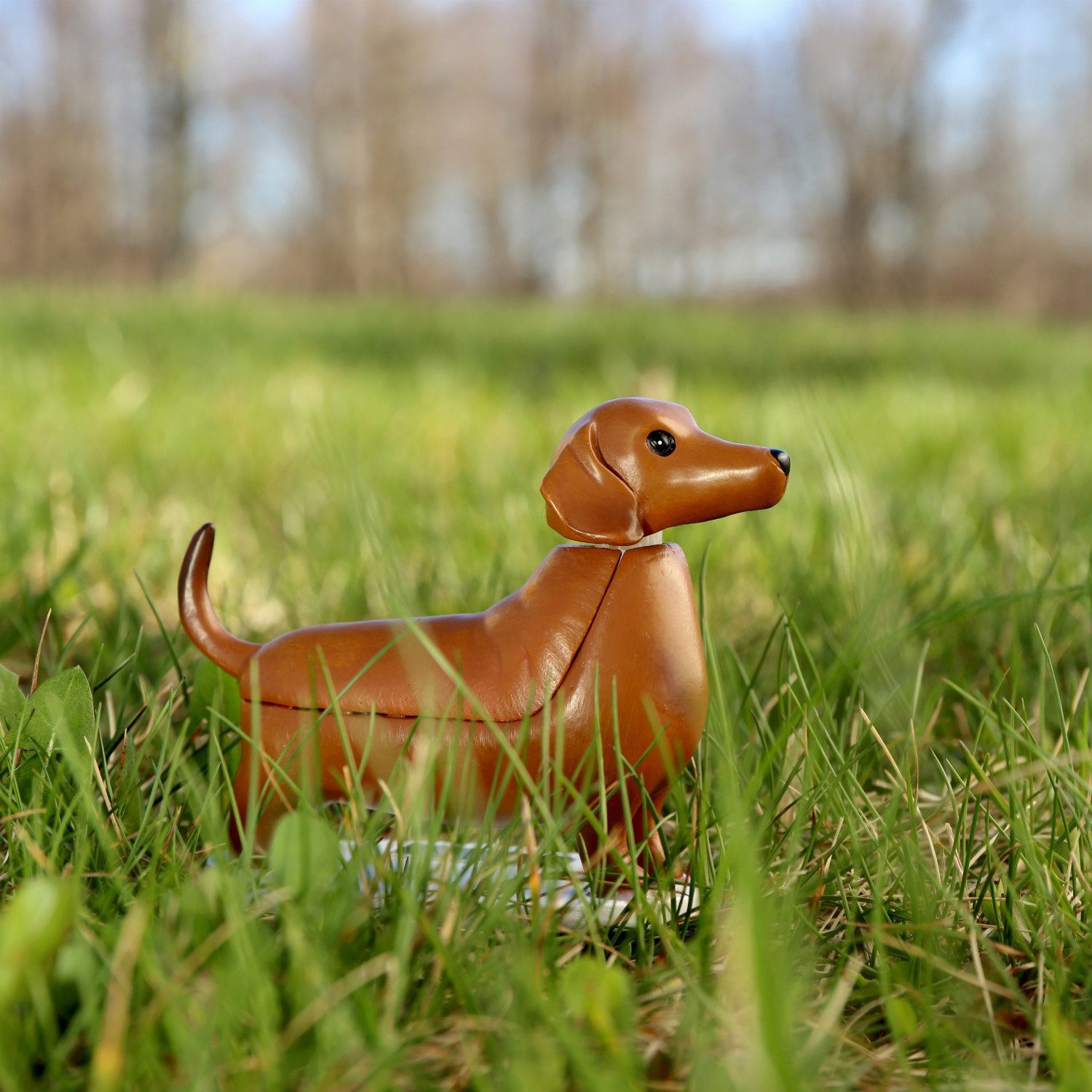 Hondje op zonne-energie