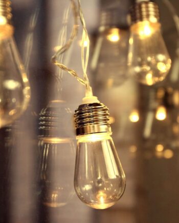 Edison Lampjes Lichtslinger