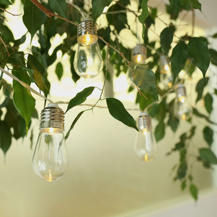 Edison Lampjes Lichtslinger