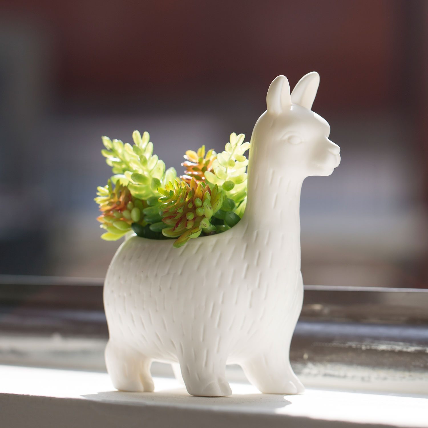 Kikkerland Lama Bloempot