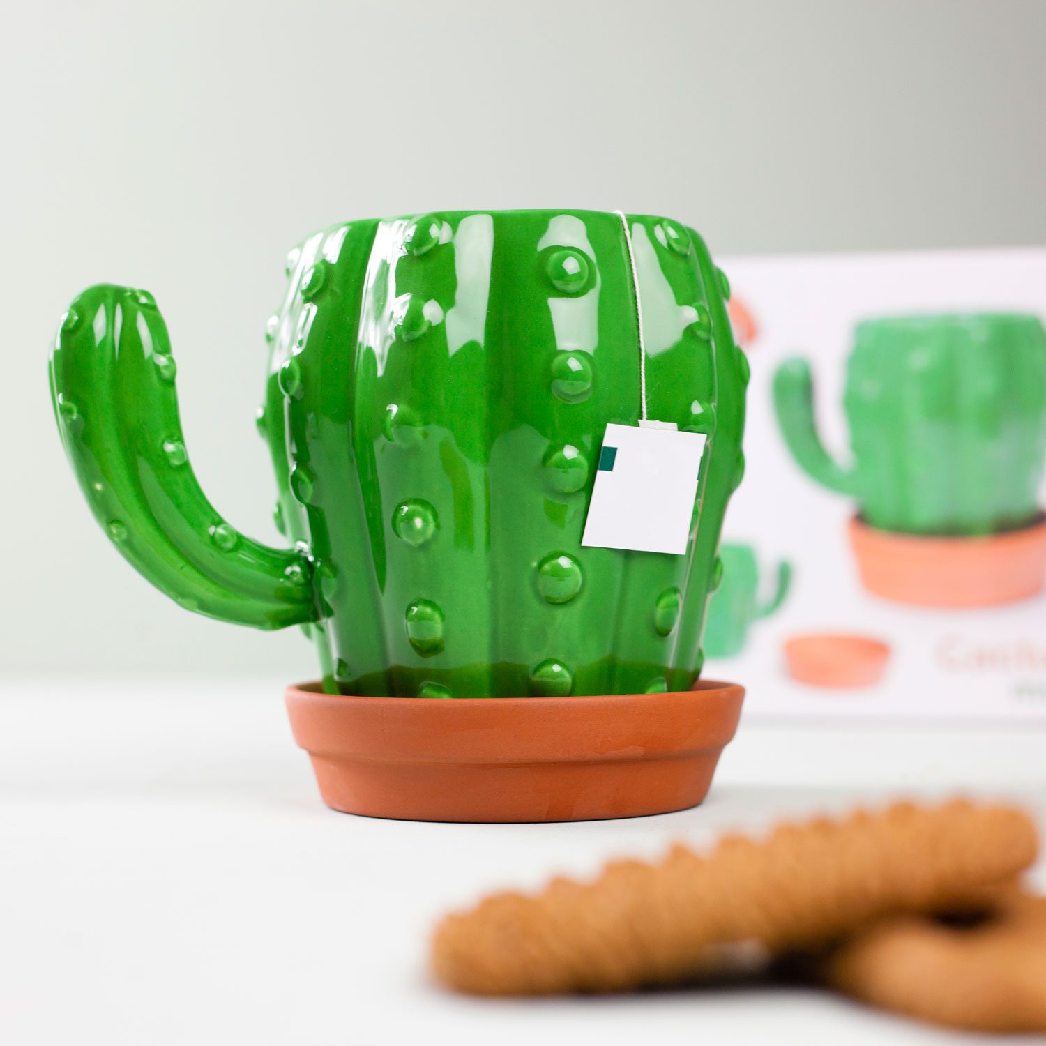 Cactus Mok Cactus Mok