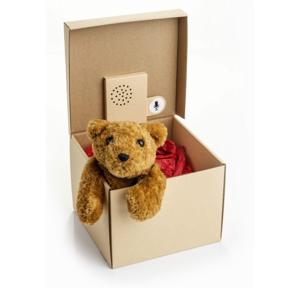 Cadeauverpakking met recorder