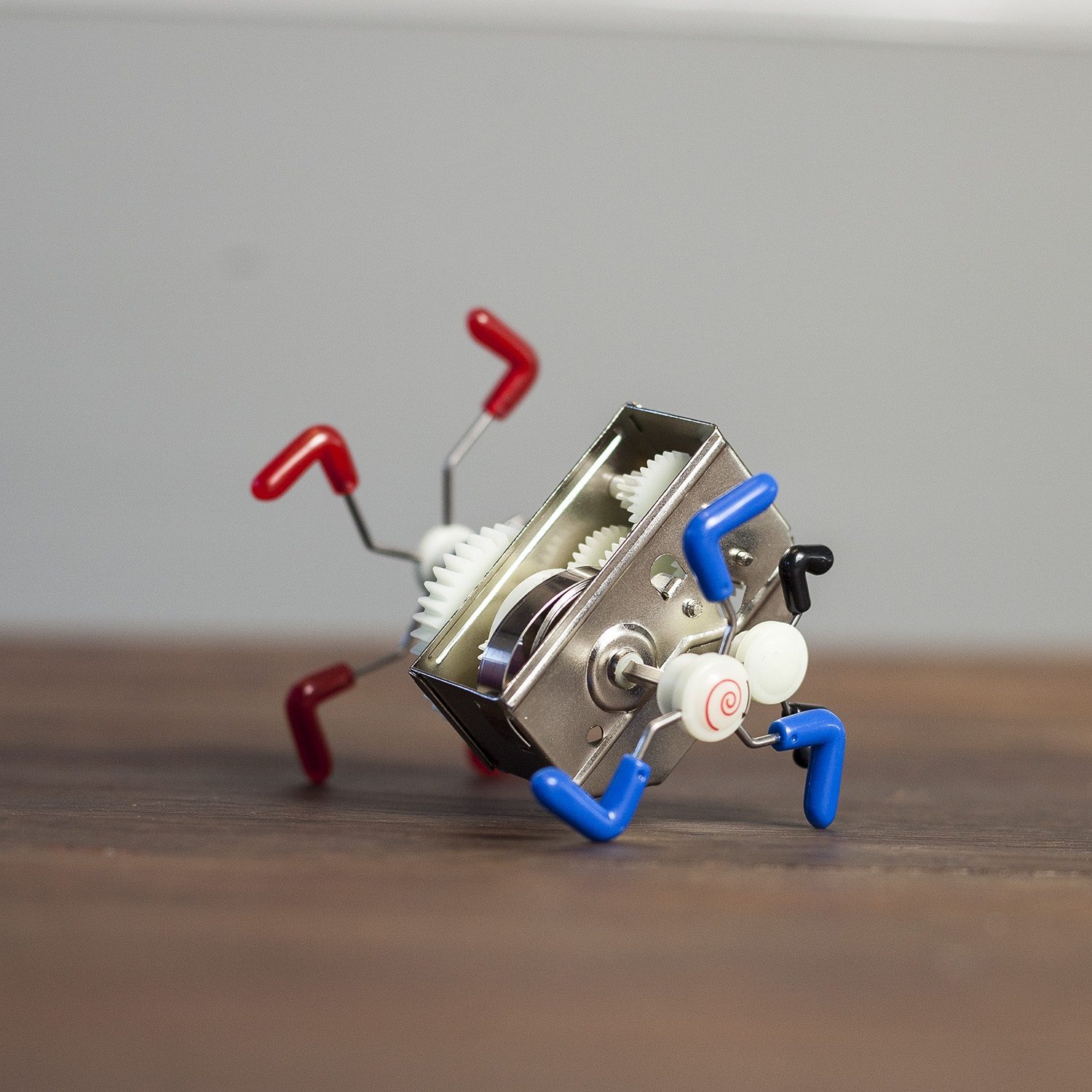 Wind Up - Skidum - Kikkerland Wind Up - Skidum - Kikkerland