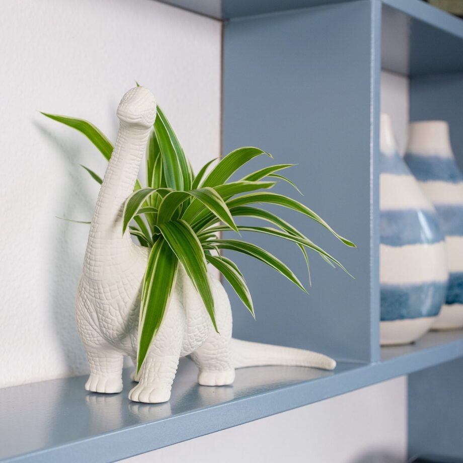 Dinosaurus bloempot