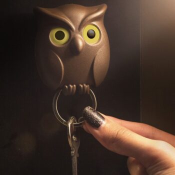 Nachtuil sleutelhouder