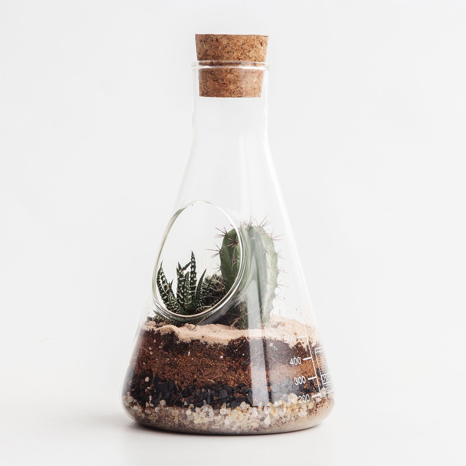 Suck UK Chemistry terrarium