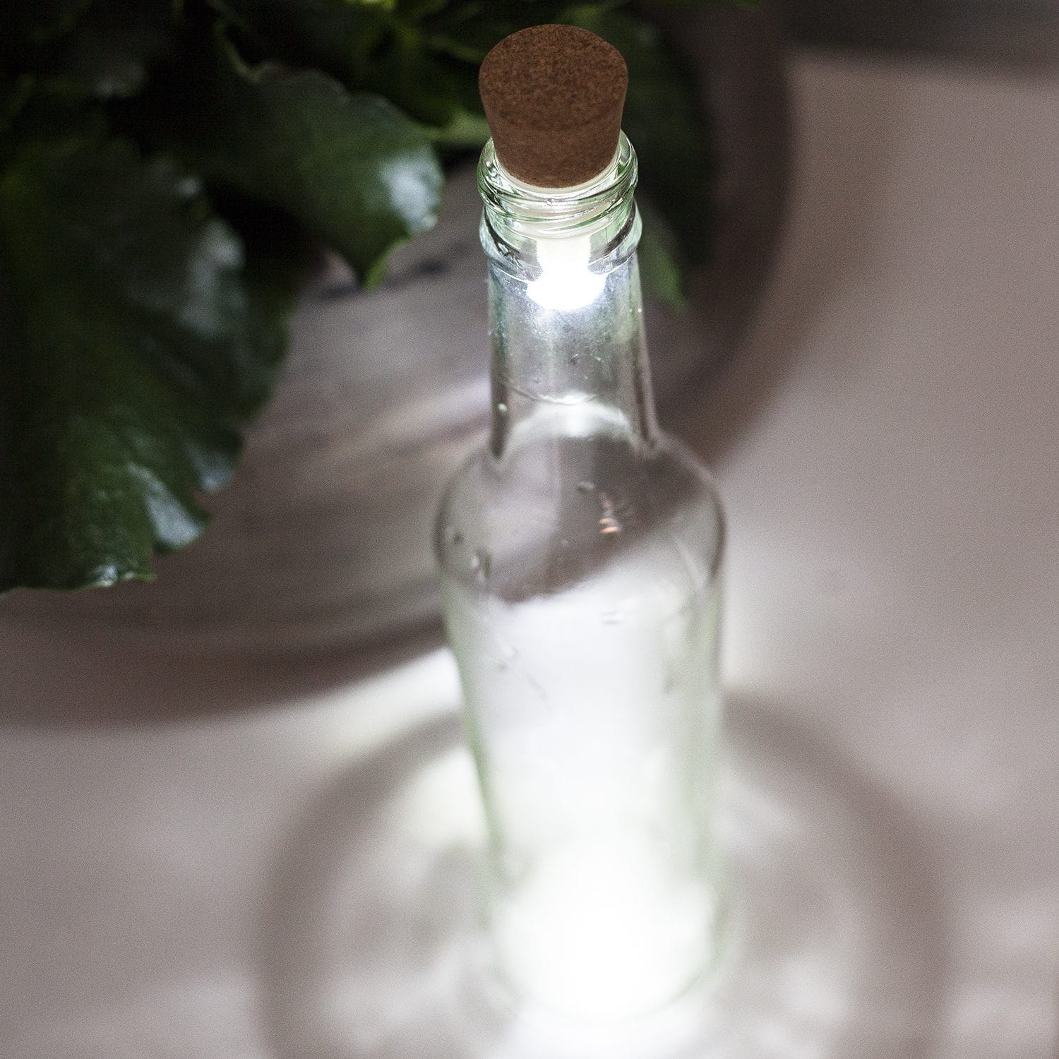 Bottlelight - Wit Licht