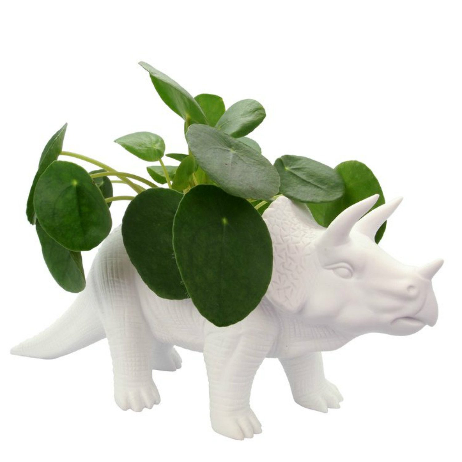 Dinosaurus Bloempot - Triceratops