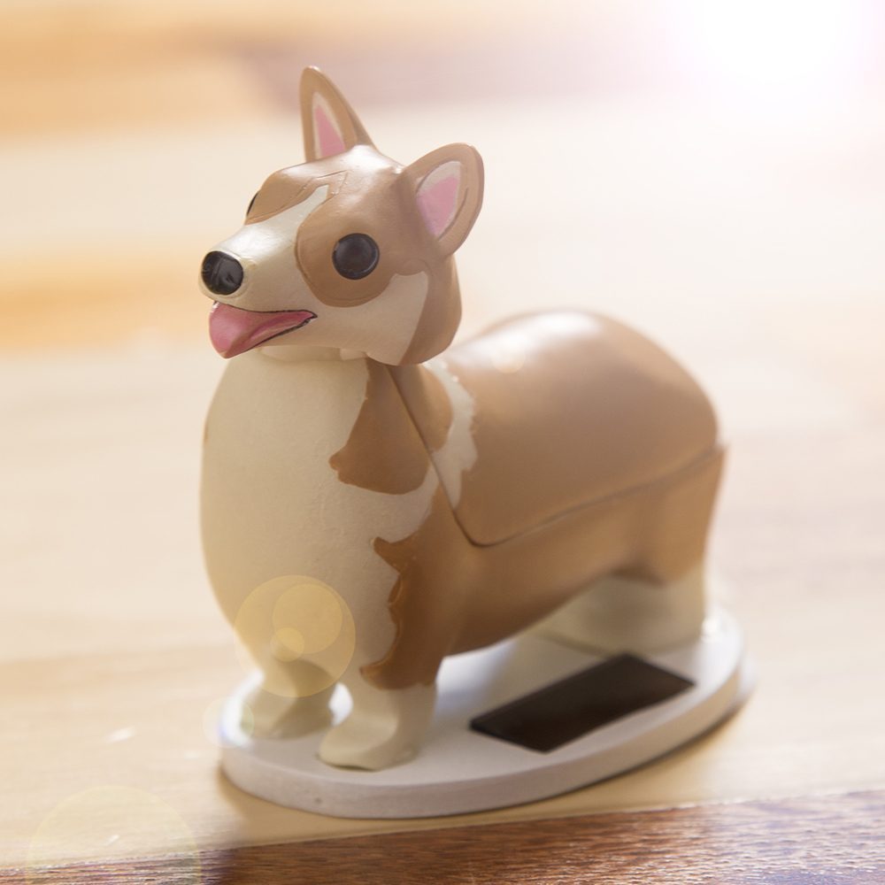 Hondje Op Zonne-Energie - Welsh Corgi Hondje Op Zonne-Energie - Welsh Corgi