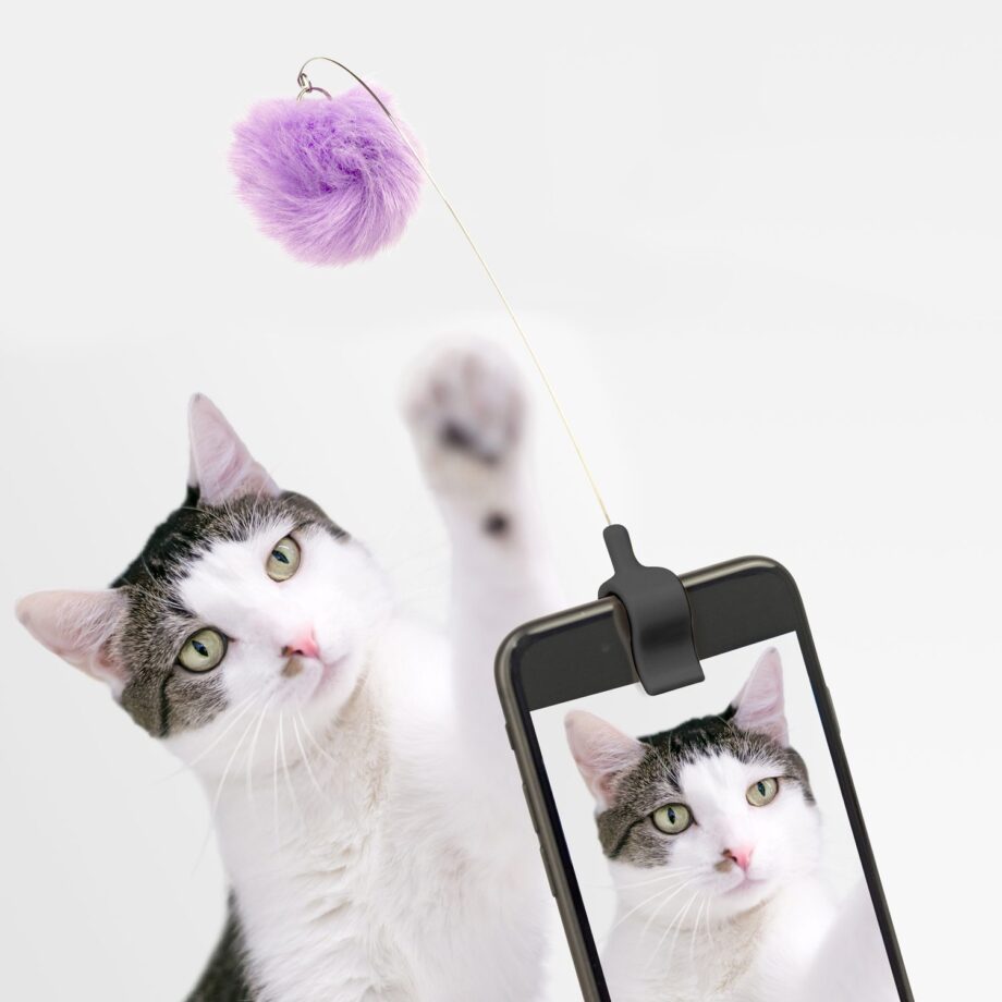 Kitty phone clip