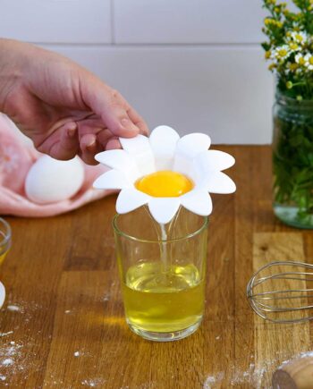 Daisy eischeider