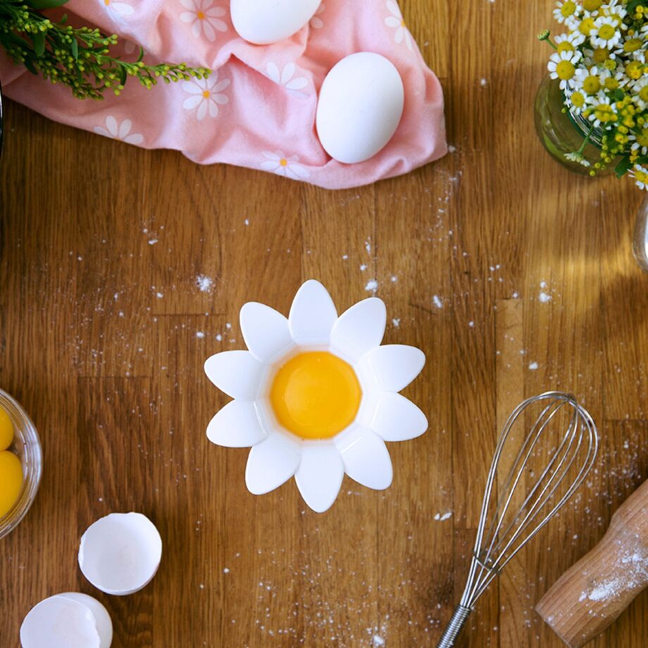 Daisy eischeider