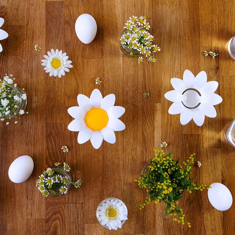Daisy eischeider