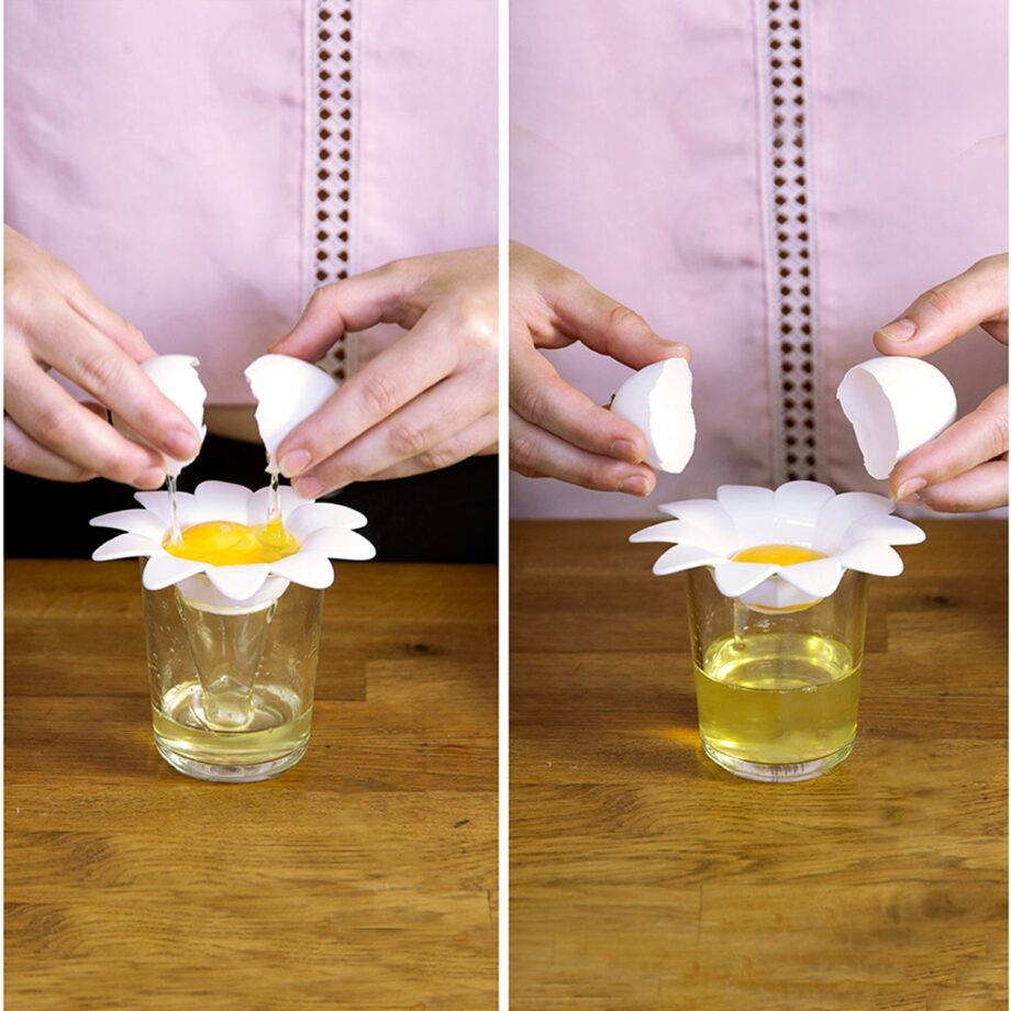 Daisy eischeider