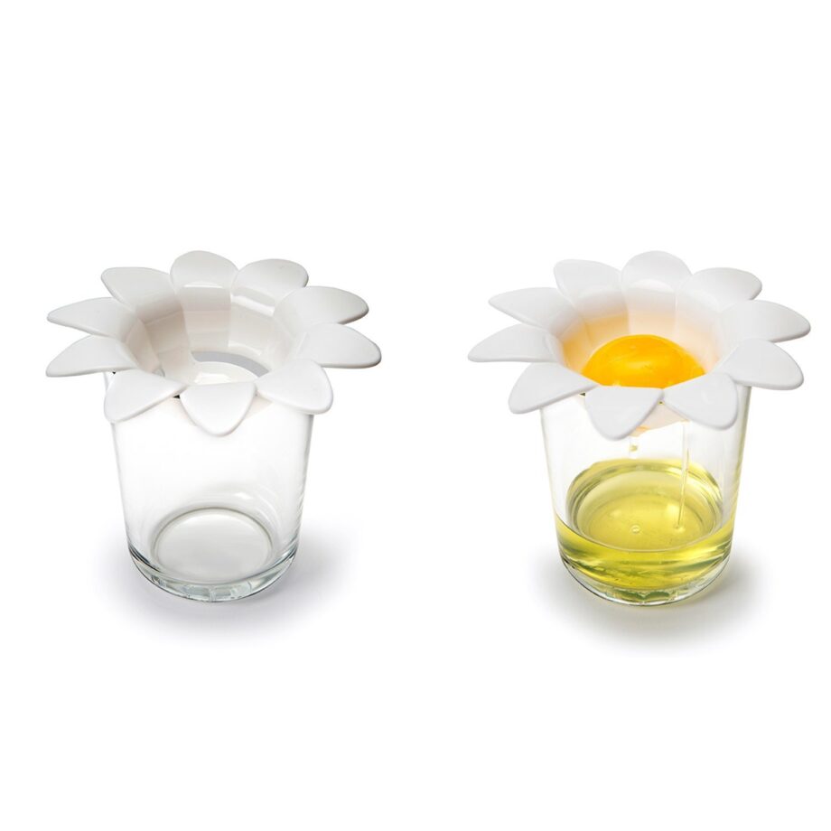 Daisy eischeider