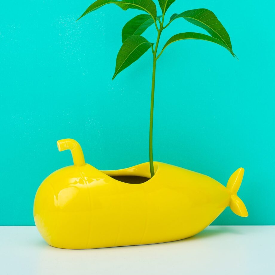 Onderzeeër Bloempot
