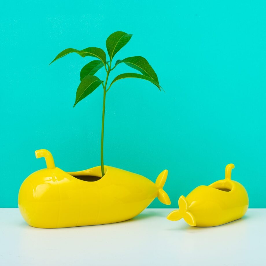 Onderzeeër Bloempot