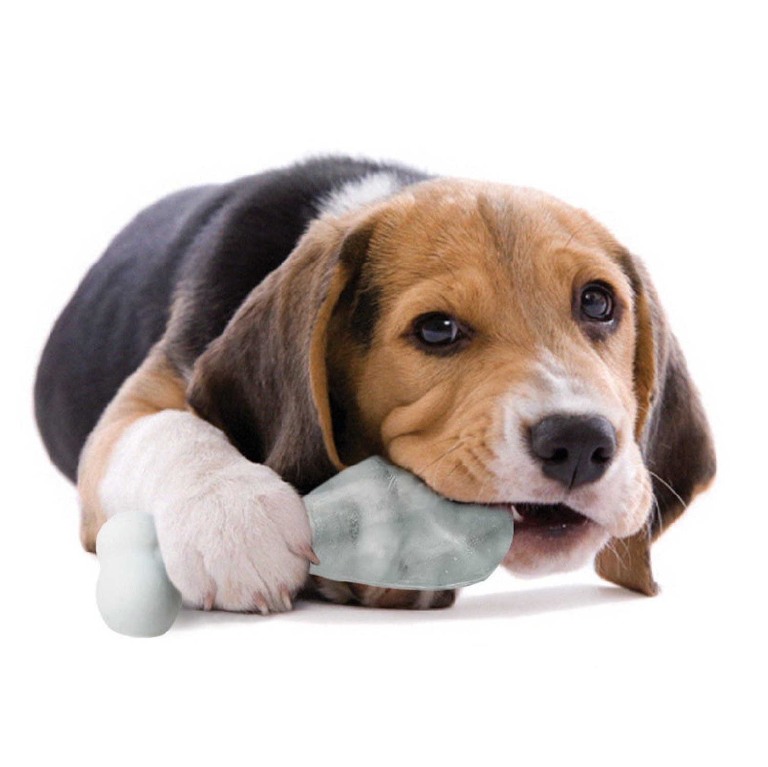 Pupsicle Ijsvorm Voor Hondenijsjes