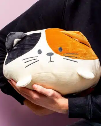Kattenkussen