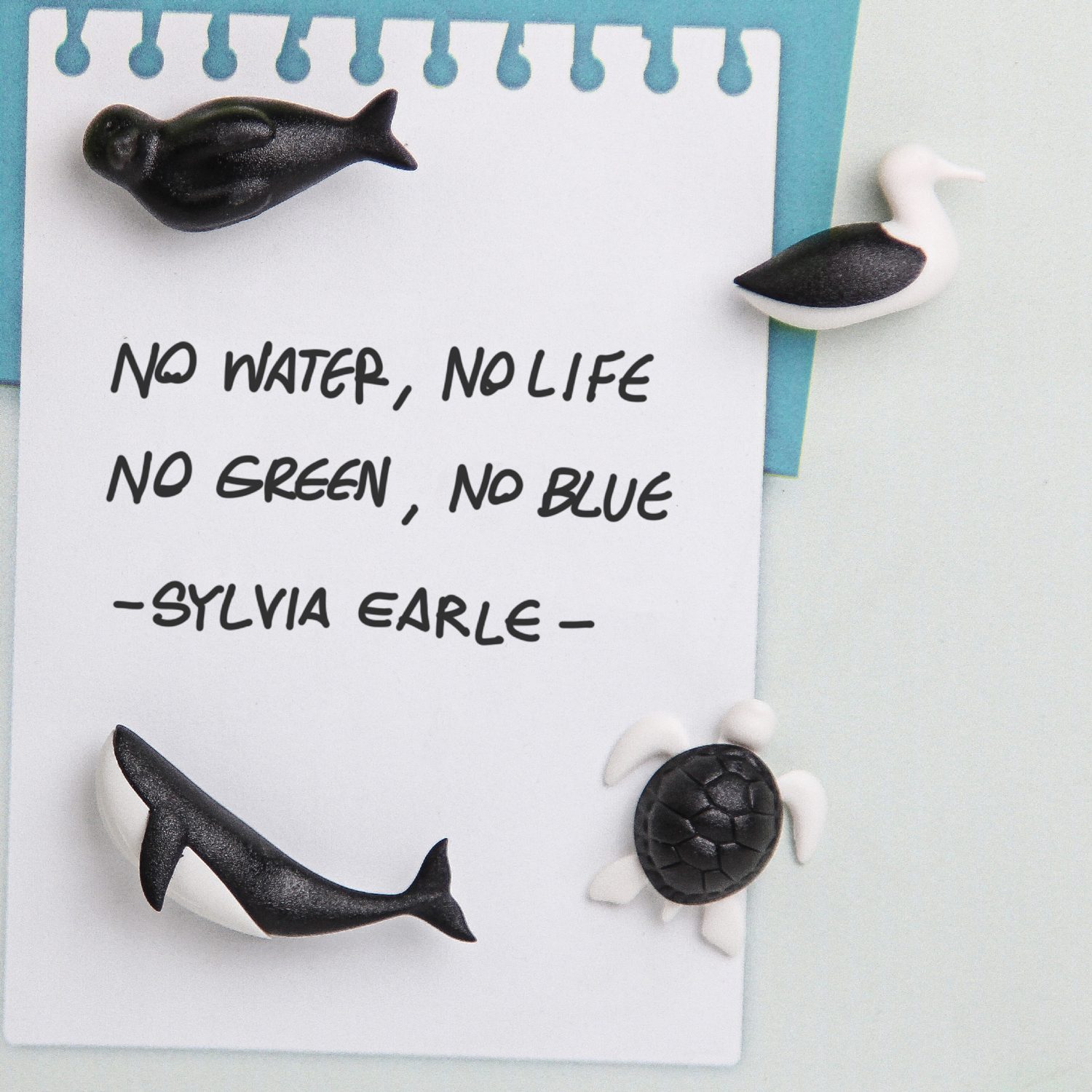 Qualy Save The Ocean Magneten (set Van 6)