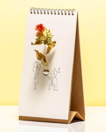 Flip Vase - Humor