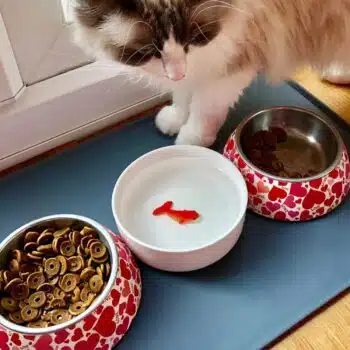 Waterbak met 3D vis