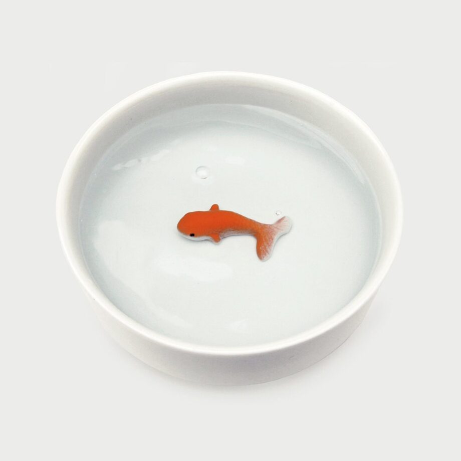 Waterbak met 3D vis