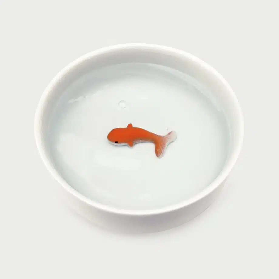 Waterbak met 3D vis