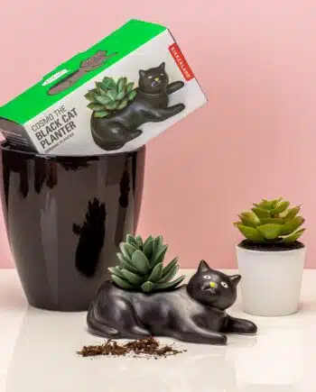 Huisdier bloempot - Kat