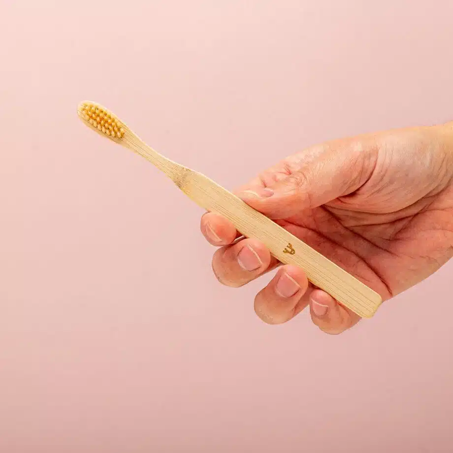 Bamboe tandenborstels (set van 2)