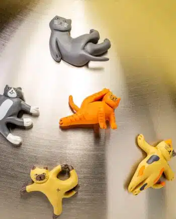 Cat yoga magneten (set van 5)