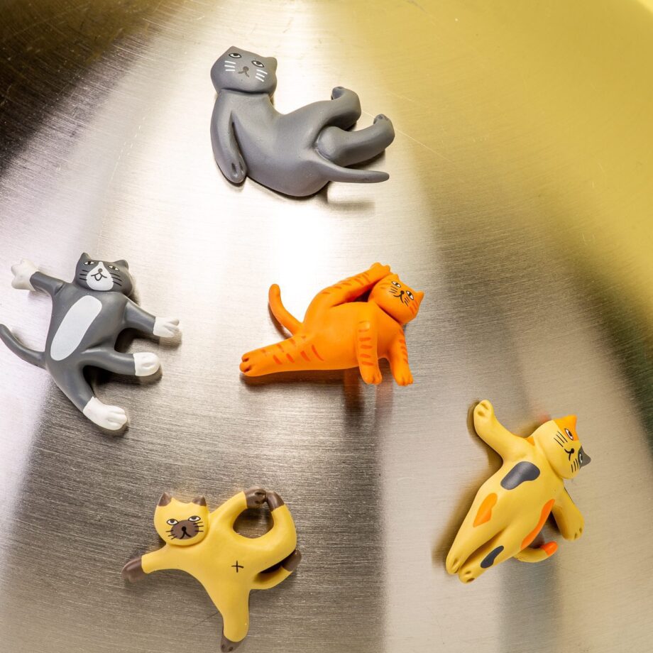Cat yoga magneten (set van 5)