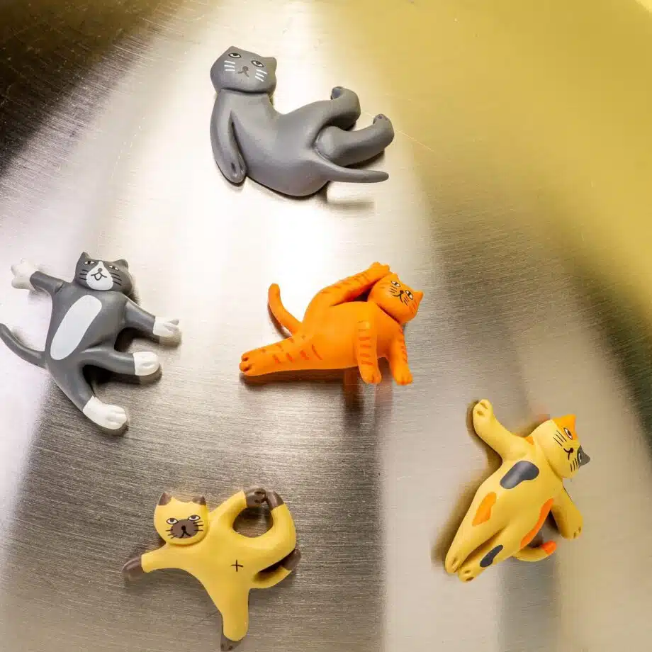 Cat yoga magneten (set van 5)