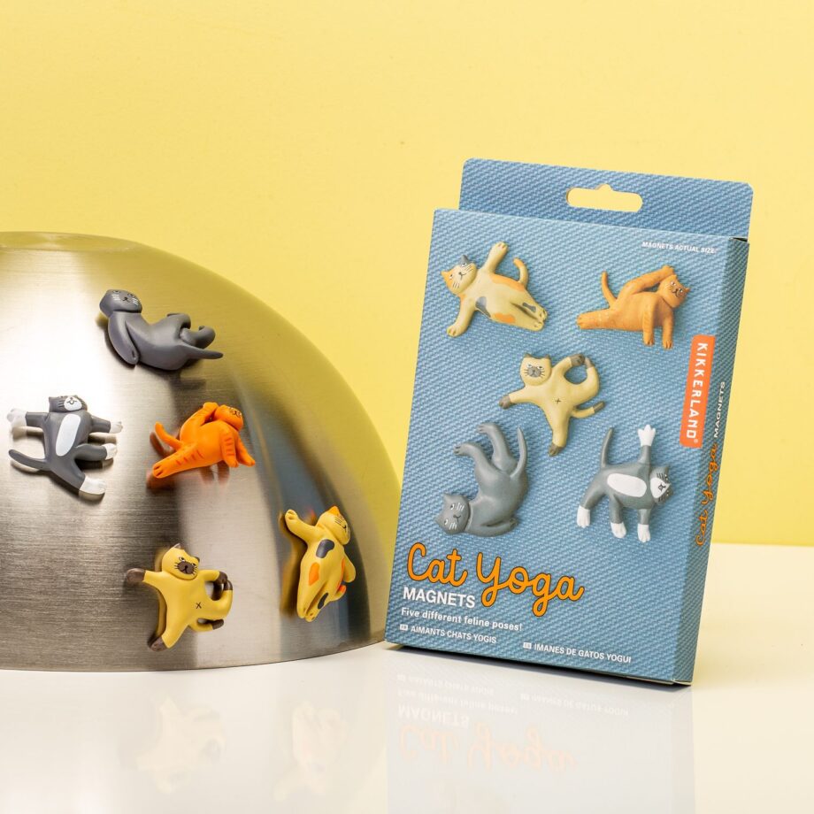 Cat yoga magneten (set van 5)