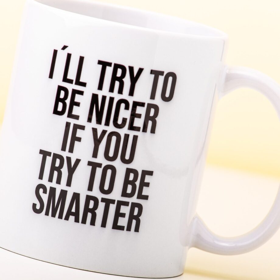 I'll Try To Be Nicer If You Try To Be Smarter mok
