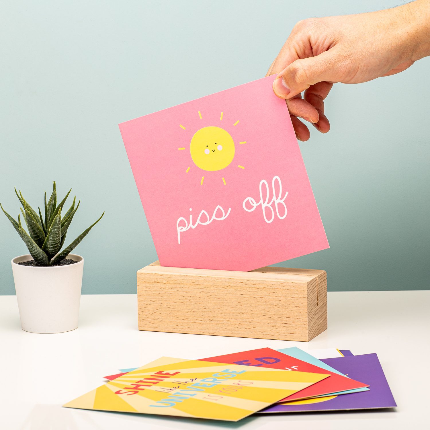 Fizz Positive Vibes Quotes Display