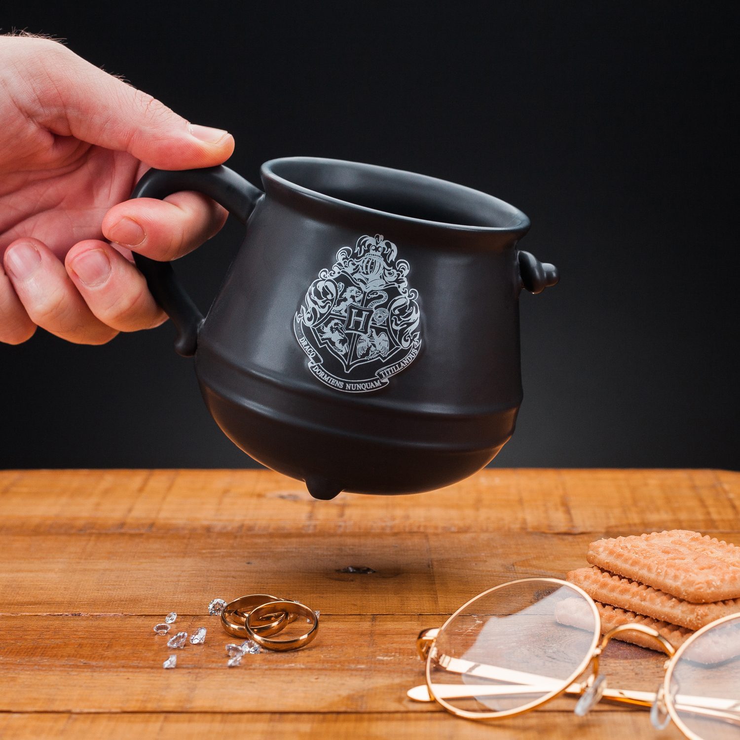 Harry Potter Cauldron mok